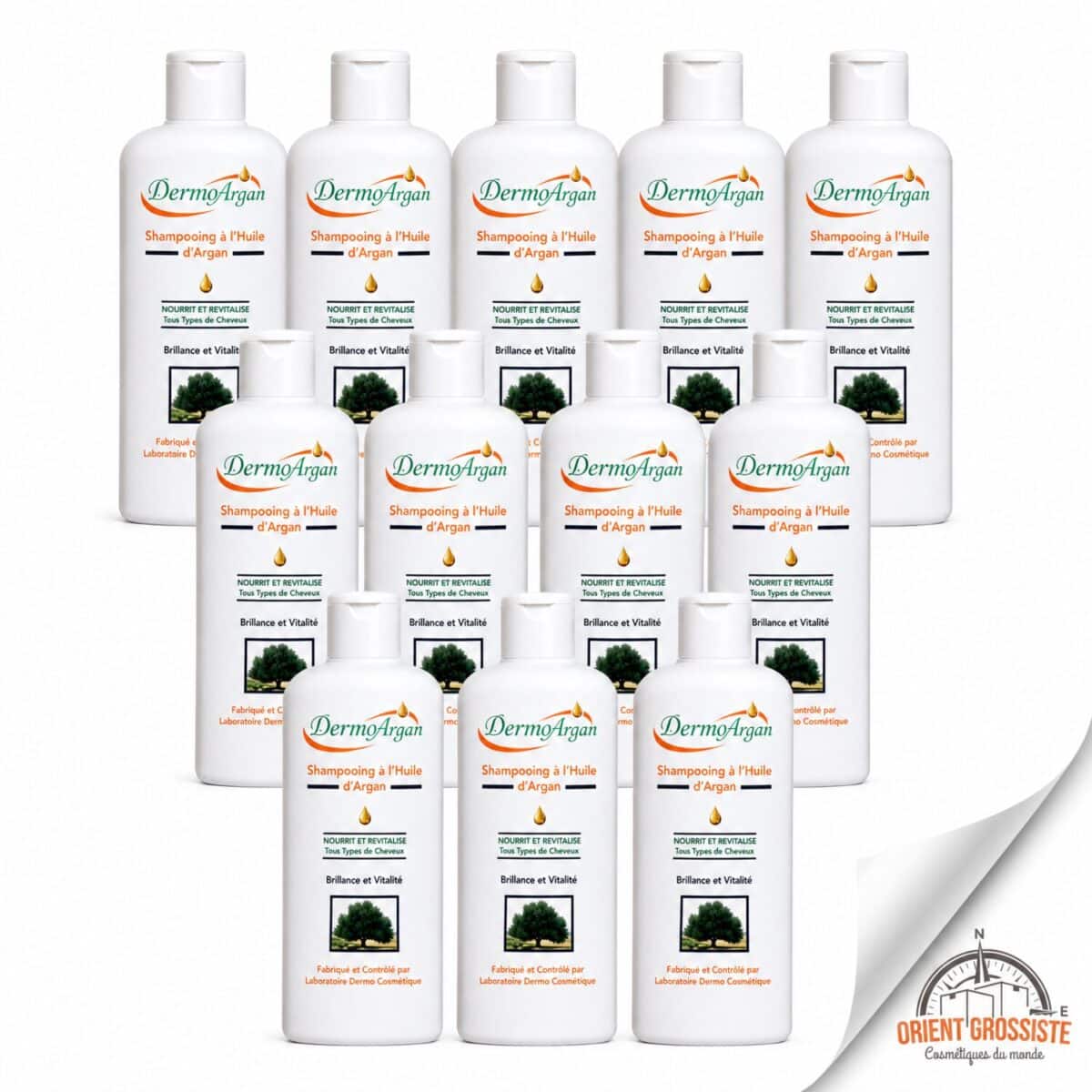 Shampoing à l'huile d'argan en gros, lot de 12 flacons DermoArgan