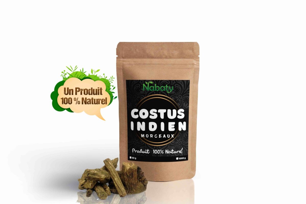 Costume indiano a pezzi